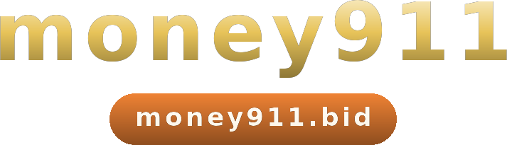 money911 โลโก้